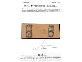 1889-90  1a brown perforated horizontal pair + 2a blue imperforate horizontal pair both tied to cover with two native cds on 