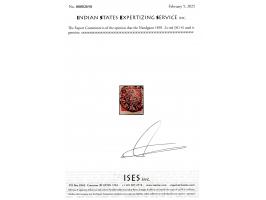 1893  2a red with a superb strike of the Nandgaon intaglio seal cancel. 2025 ISES certificate.
